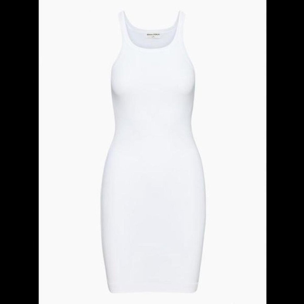 Denim Forum Aritzia Dress